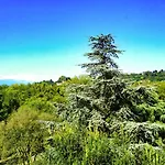 Attico Elegante Con Splendida Vista Sul Po E Superga