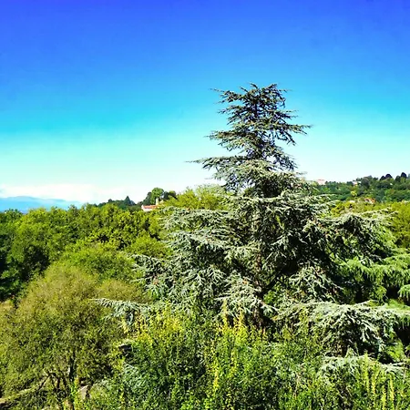 Attico Elegante Con Splendida Vista Sul Po E Superga