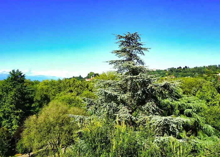 Attico Elegante Con Splendida Vista Sul Po E Superga